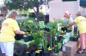 March in the Park – Juried Plant and Garden Art Show – Sat. March 14, 2020